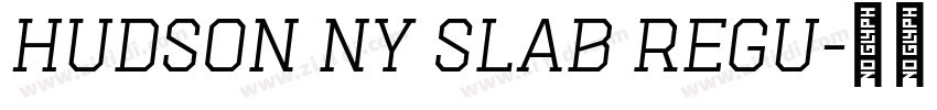 Hudson NY Slab Regu字体转换